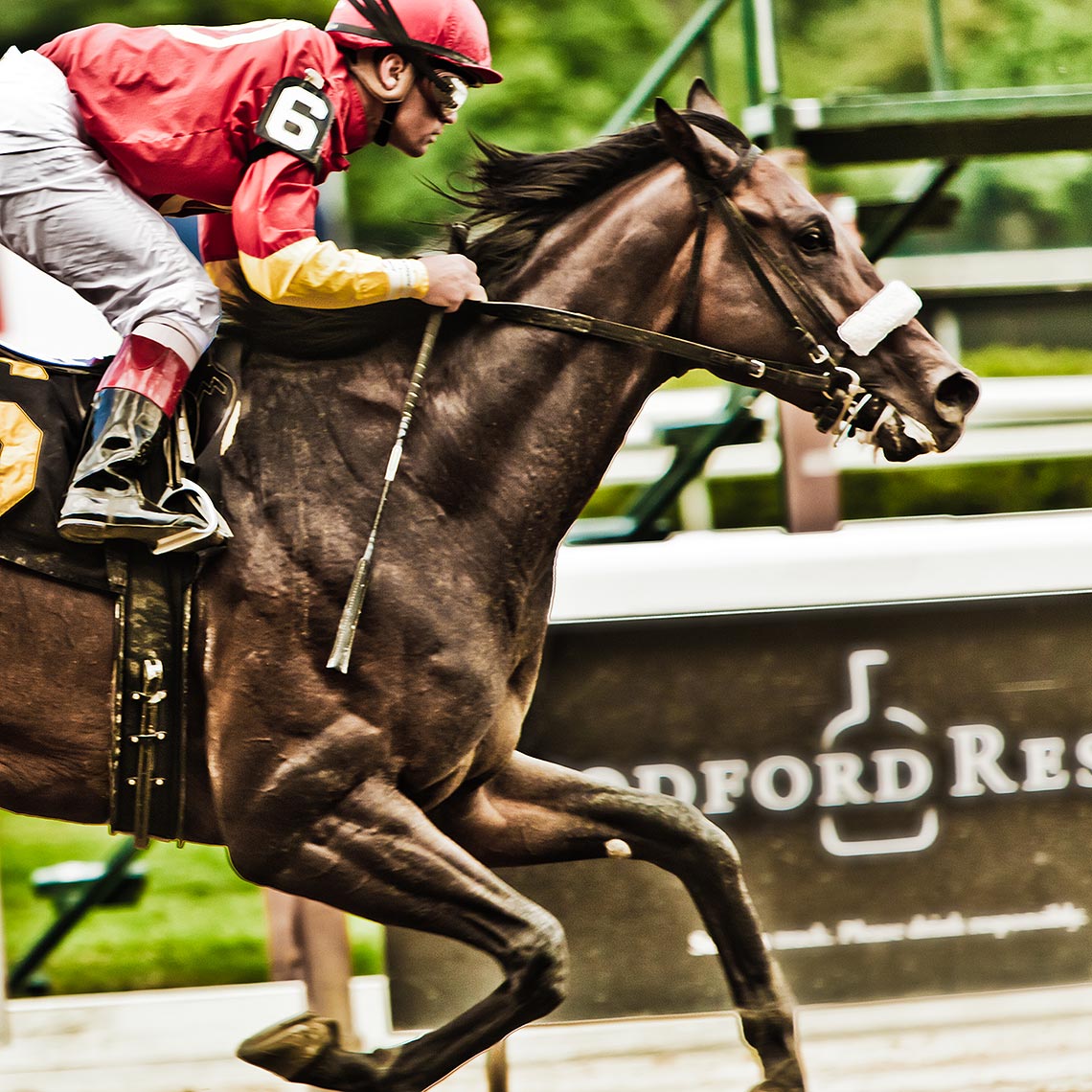 120607_belmont_stakes-458_4web