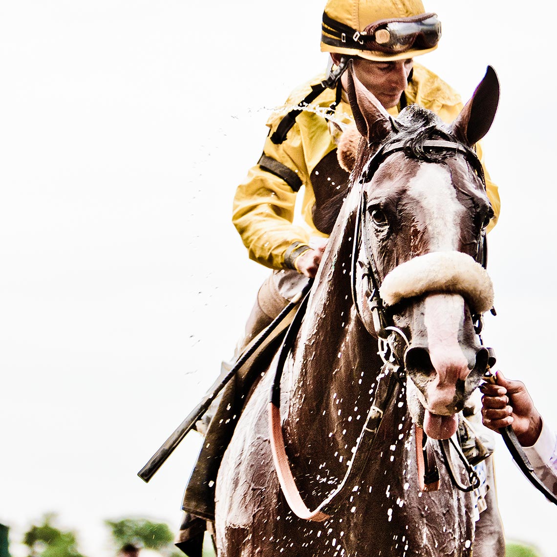 120609_belmont_stakes-715_4web